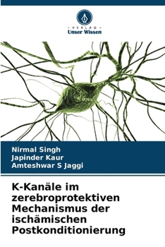 K-Kanäle im zerebroprotektiven Mechanismus der ischämischen Postkonditionierung (German Edition)