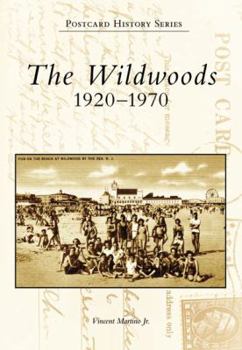 Paperback The Wildwoods: 1920-1970 Book