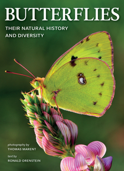 Paperback Butterflies: Their Natural History and Diversity Book
