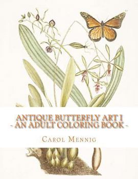 Paperback Antique Butterfly Art I: An Adult Coloring Book