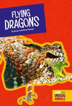Library Binding Flying Dragons Book