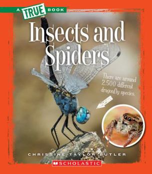 Paperback Insects and Spiders (a True Book: Animal Kingdom) Book