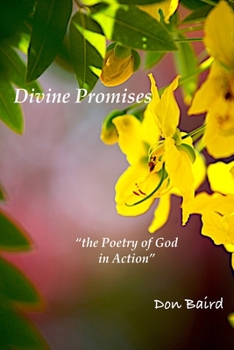 Paperback Divine Wisdom: the Poetry of God in Action Book