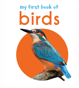Board book My First Book of Birds Book