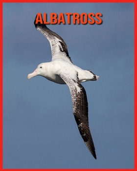 Paperback Albatross: Beautiful Pictures & Interesting Facts Children Book About Albatross Book