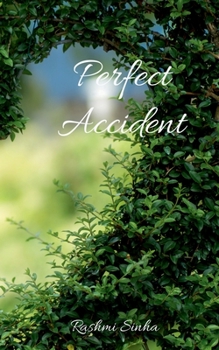 Paperback Perfect Accident Book
