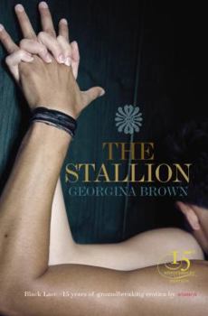 Paperback The Stallion Book