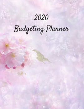 Paperback Budgeting Planner 2020: Daily Weekly & Monthly Calendar Expense Tracker Organizer For Budget Planner And Financial Planner Workbook Book