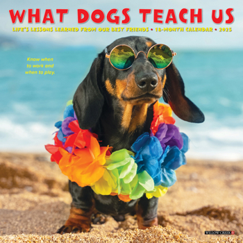 Calendar What Dogs Teach Us 2025 7 X 7 Mini Wall Calendar Book