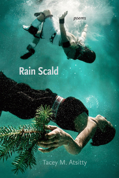 Paperback Rain Scald: Poems Book