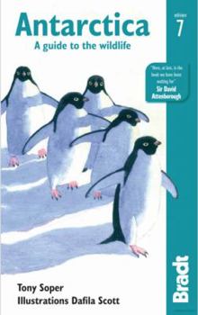 Paperback Antarctica: A Guide to the Wildlife Book