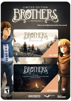 Video Game Brothers Book