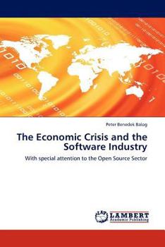 Paperback The Economic Crisis and the Software Industry Book