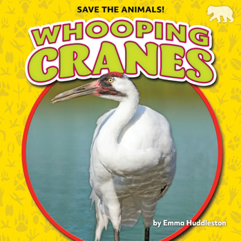 Library Binding Whooping Cranes Book