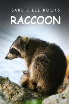 Paperback Raccoon - Sandie Lee Books Book