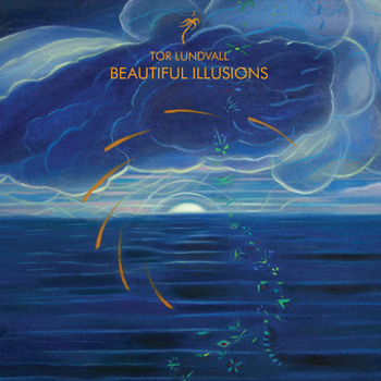 Vinyl Beautiful Illusions Book