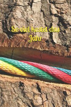 So viel kostet das Jahr: Haushaltsbuch Jahreskosten Tageskosten Einkauf Verdienst Ausgaben Monatskosten Familie Sportverein Hobby Nebenkosten