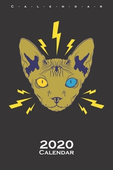 Naked Cat Sphynx Calendar 2020: Annual Calendar for animal friends, who love the flightless kiwi bird from New Zealand