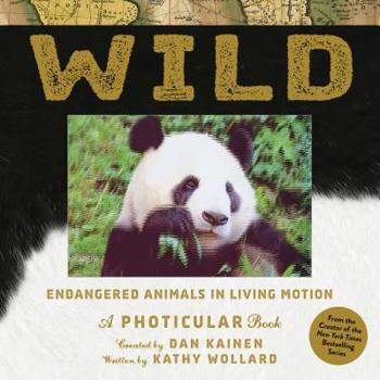 Hardcover Wild: Endangered Animals in Living Motion Book