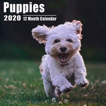 Mini Calendar 2020 Puppies: High Quality Cute Puppy Photos Mini Calendar With Inspirational Quotes each Month and Notes Section | Small Size 8.5x8.5 inches