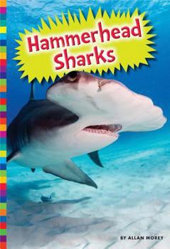 Library Binding Hammerhead Sharks Book