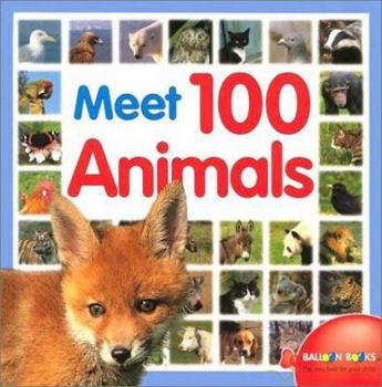 Hardcover Meet 100 Animals Book