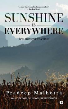 Paperback Sunshine Is Everywhere: One Moment at a Time Book