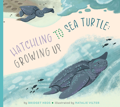 Library Binding Hatchling to Sea Turtle: Growing Up Book