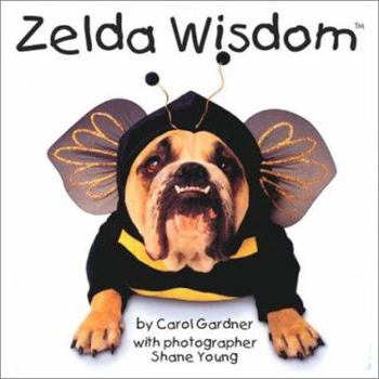 Hardcover Zelda Wisdom Book
