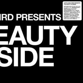 Vinyl Lefto Early Bird Presents The Beauty Is Book