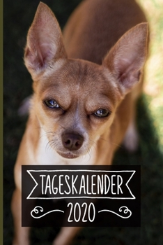 Paperback Tageskalender 2020: Terminkalender ca DIN A5 weiß über 370 Seiten I 1 Tag eine Seite I Jahreskalender I Chihuahua I Hunde [German] Book