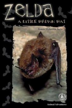 Library Binding Zelda: A Little Brown Bat Book