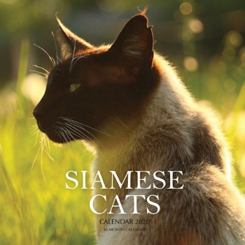 Siamese Cats Calendar 2020: 16 Month Calendar