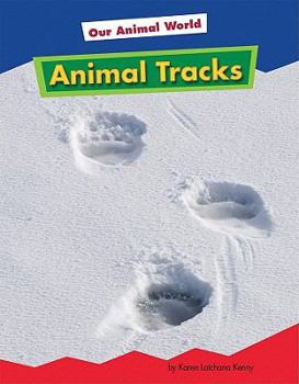 Library Binding Animal Tracks Book