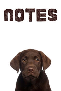 Notes: Chocolate Labrador puppy notebook/Journal/ Idea book