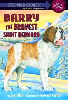 Paperback Barry: The Bravest Saint Bernard Book