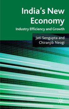 Hardcover India's New Economy: Industry Efficiency and Growth Book