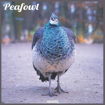 Peafowl 2021 Wall Calendar: Official Peacock Calendar 2021 Wall Calendar