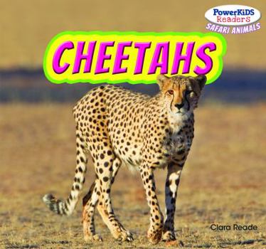 Paperback Cheetahs Book