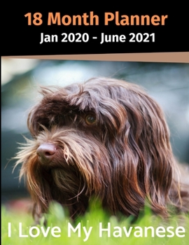 Paperback Jan 2020 - June 2021 18 Month Planner: I Love My Havanese Book