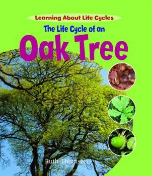 Library Binding The Life Cycle of an Oak Tree Book