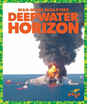 Library Binding Deepwater Horizon Book