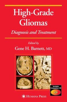 Hardcover High-Grade Gliomas: Diagnosis and Treatment Book