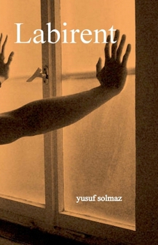 Labirent (Turkish Edition)