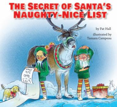 Paperback The Secret of Santa's Naughty-Nice List Book