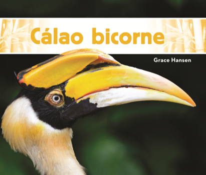 Library Binding Calao Bicorne [Spanish] Book