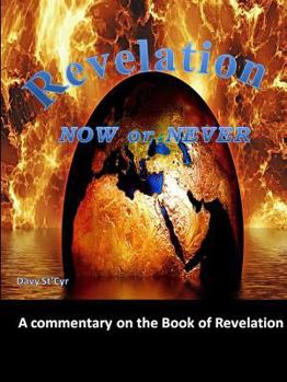 Paperback Revelation Now Or Never Book