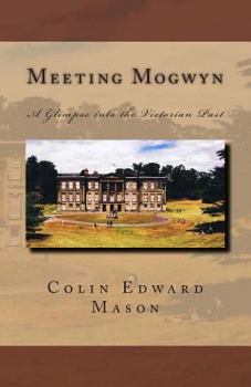 Paperback Meeting Mogwyn: A Glimpse into the Victorian Past Book
