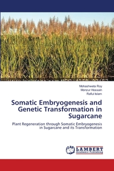 Paperback Somatic Embryogenesis and Genetic Transformation in Sugarcane Book