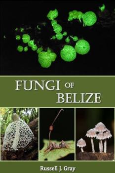 Paperback Fungi of Belize Book